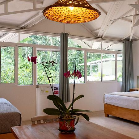 Jaguar Inn Bungalows Puerto Viejo de Talamanca المظهر الخارجي الصورة
