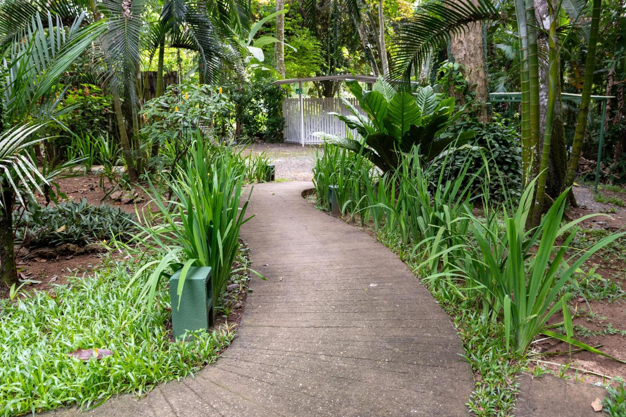 Jaguar Inn Bungalows Puerto Viejo de Talamanca المظهر الخارجي الصورة