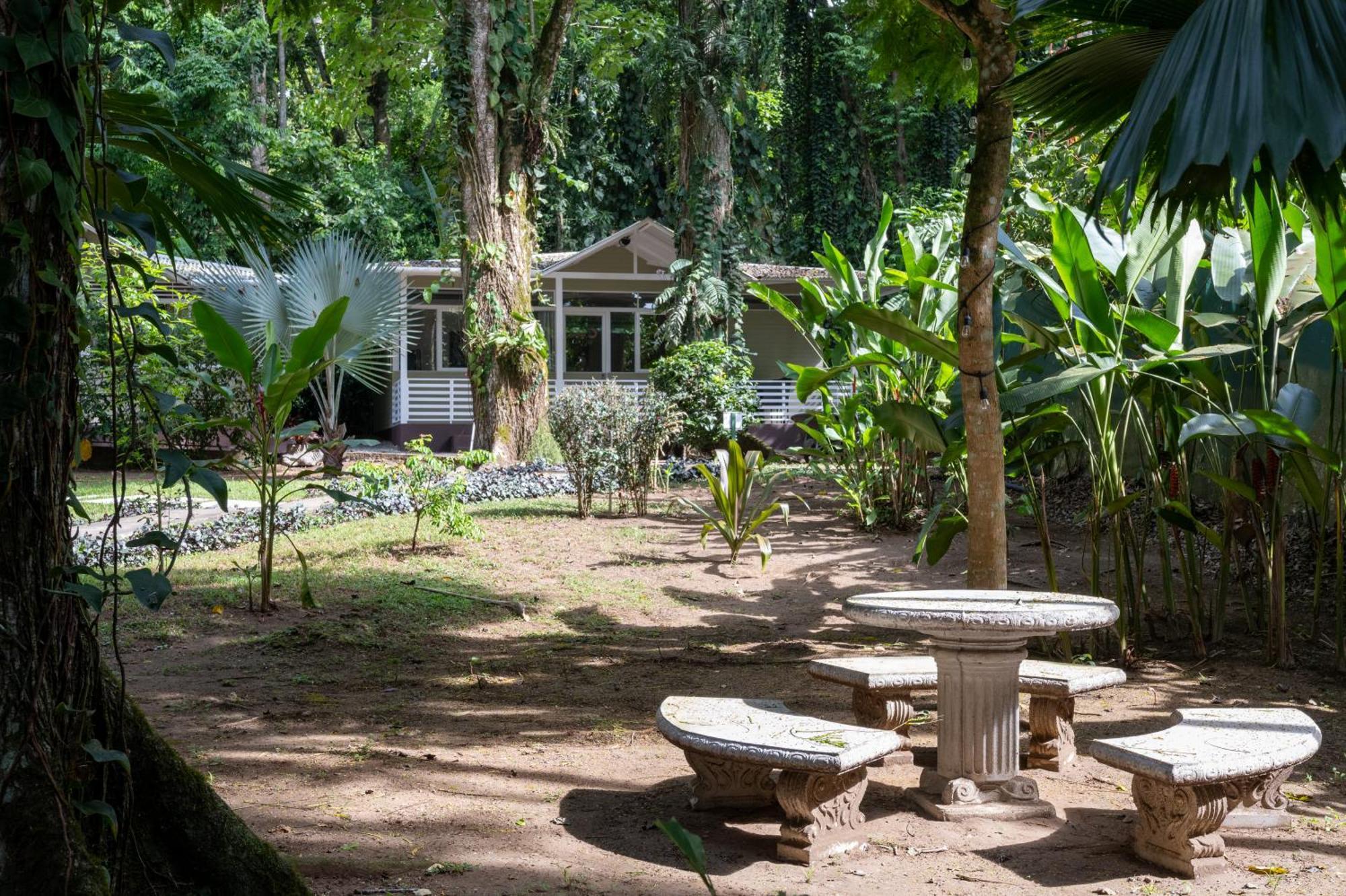 Jaguar Inn Bungalows Puerto Viejo de Talamanca المظهر الخارجي الصورة