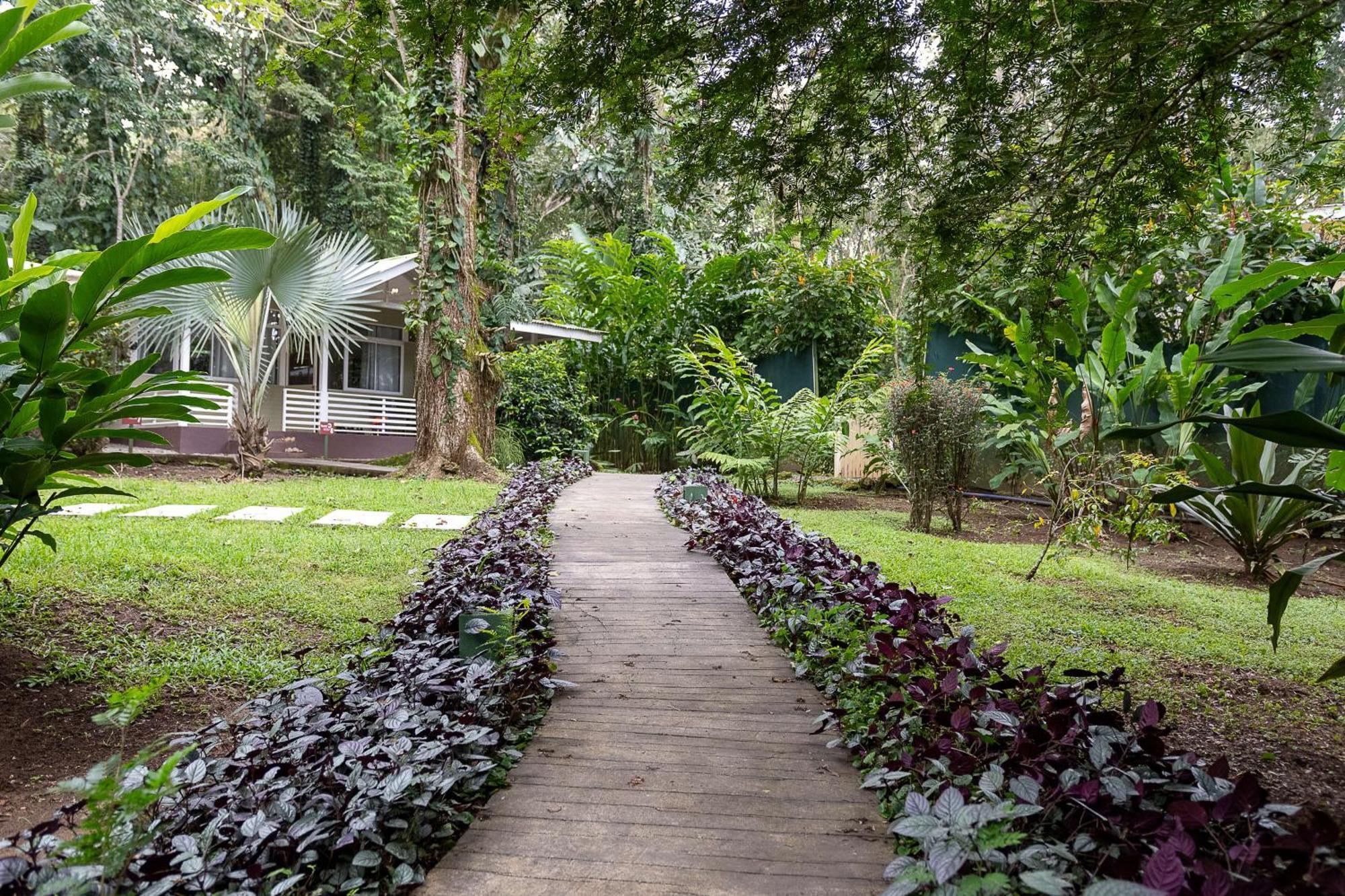 Jaguar Inn Bungalows Puerto Viejo de Talamanca المظهر الخارجي الصورة
