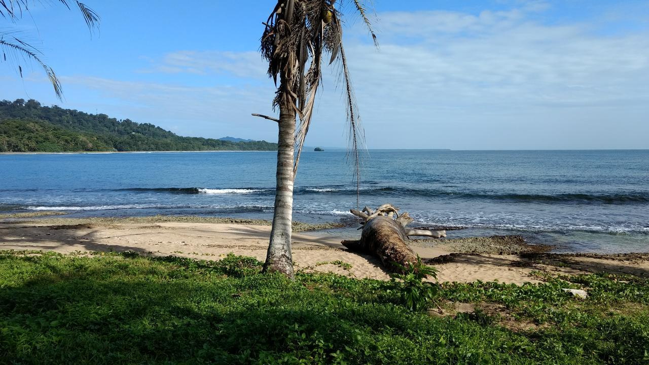 Jaguar Inn Bungalows Puerto Viejo de Talamanca المظهر الخارجي الصورة